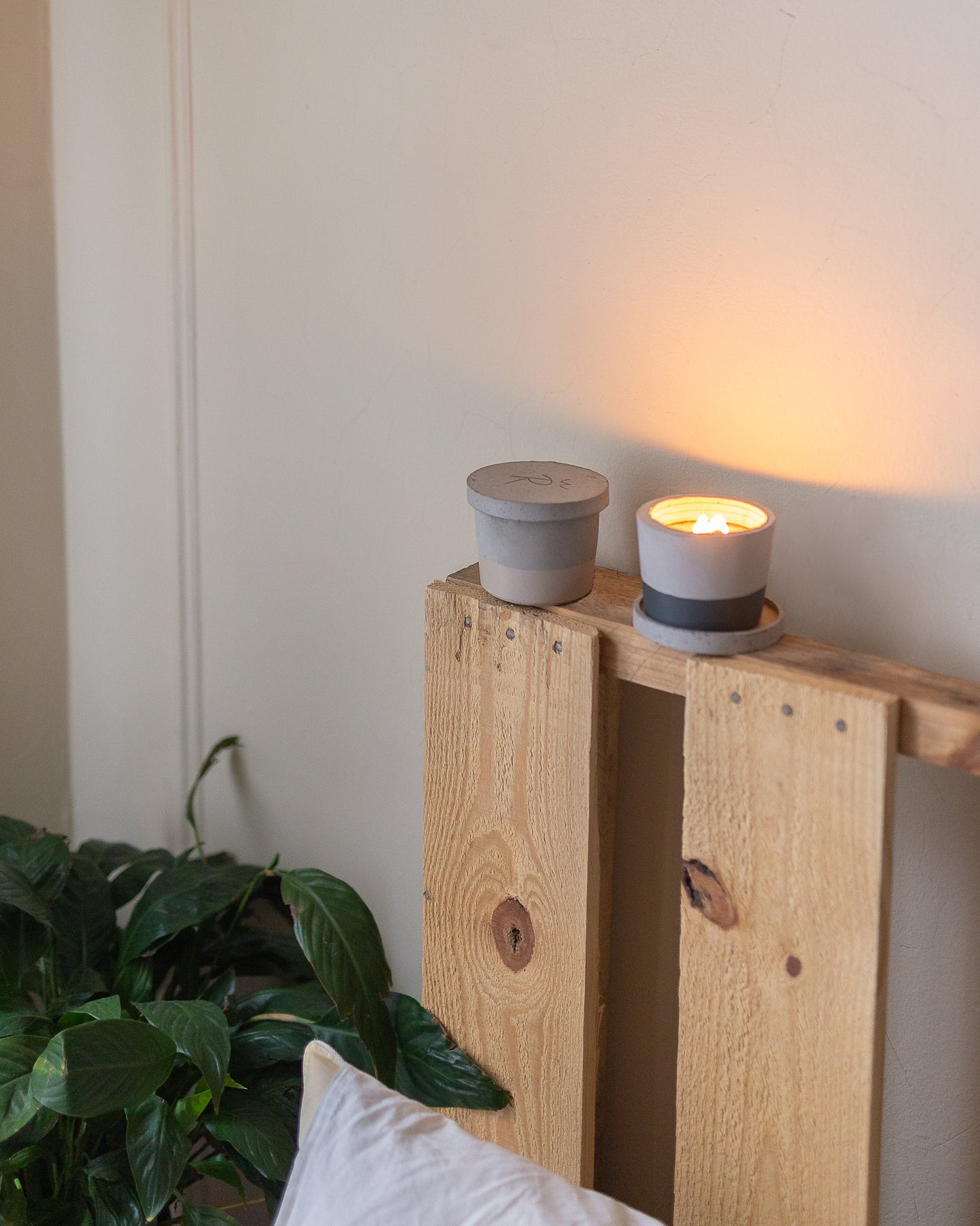 Candle & Cement Holder | Boreal Forest